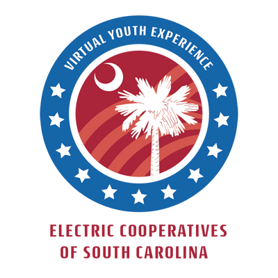 Virtual Youth Experience logo
