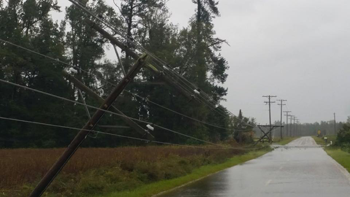 broad swamp road