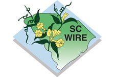 sc wire logo